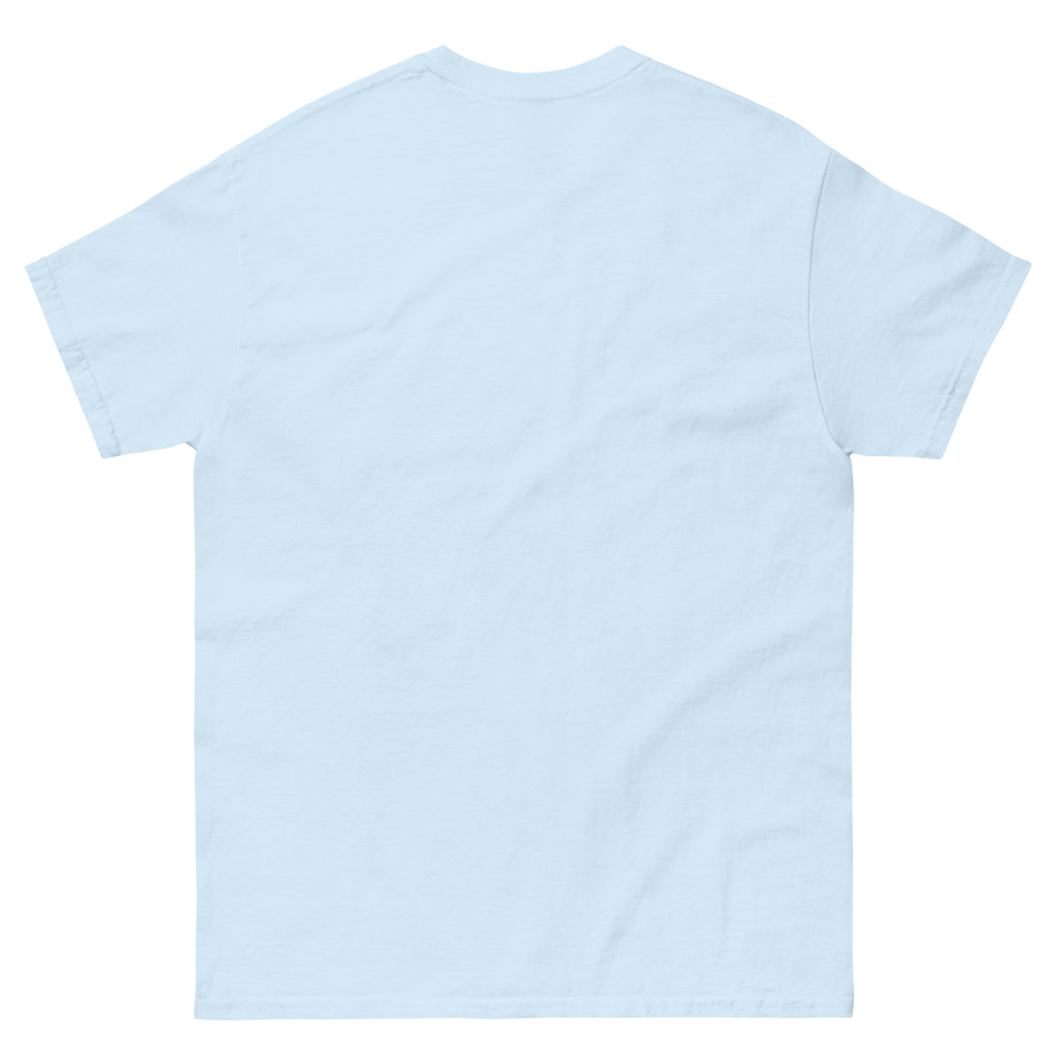 color:Light Blue | Back view